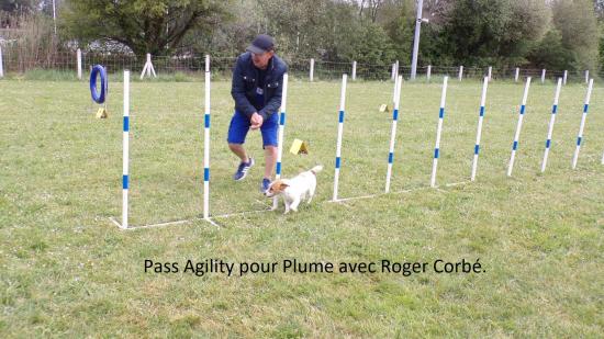 Pass Agility pour Plume à Roger Corbé  1er degré